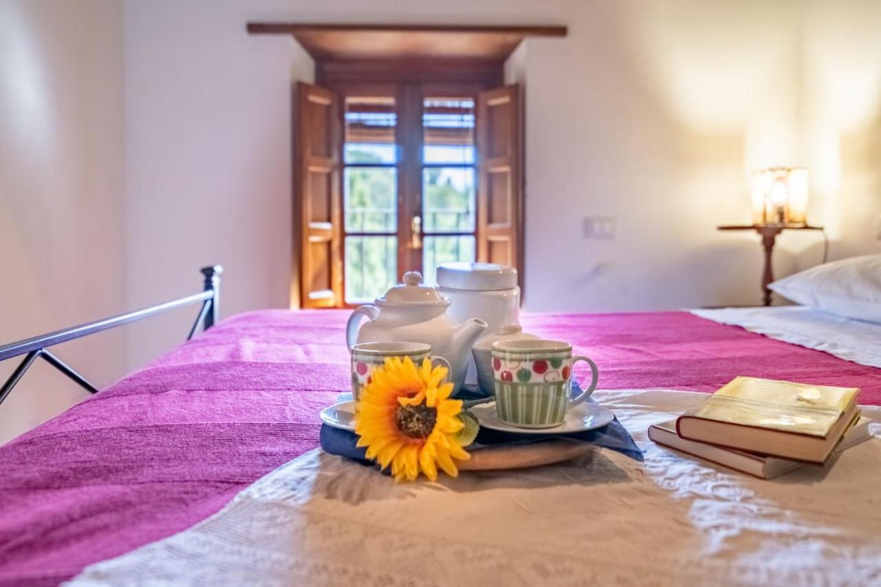 Al Giardino Degli Ulivi Guest House Santa Maria Albiano Luaran gambar