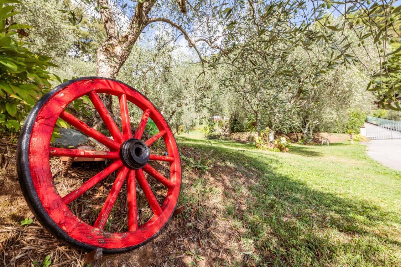Al Giardino Degli Ulivi Guest House Santa Maria Albiano Luaran gambar