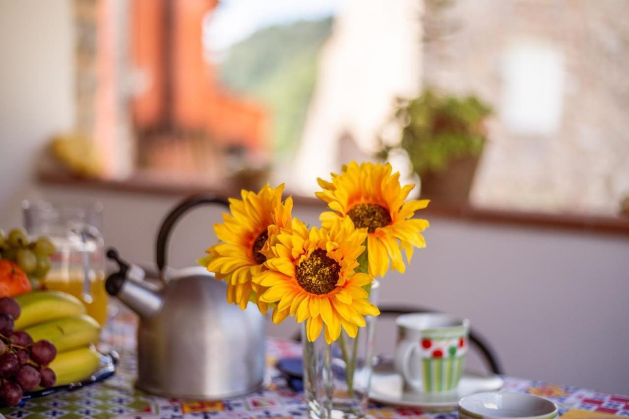 Al Giardino Degli Ulivi Guest House Santa Maria Albiano Luaran gambar